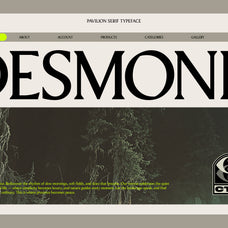 Pavilion Serif Typeface - God Control 1.jpg