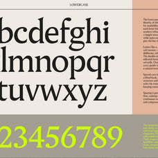 Pavilion Serif Typeface - God Control 1.jpg