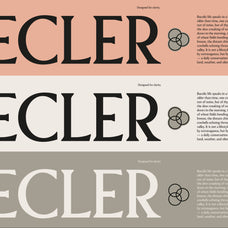 Pavilion Serif Typeface - God Control 1.jpg