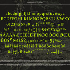 Pavilion Serif Typeface - God Control 1.jpg