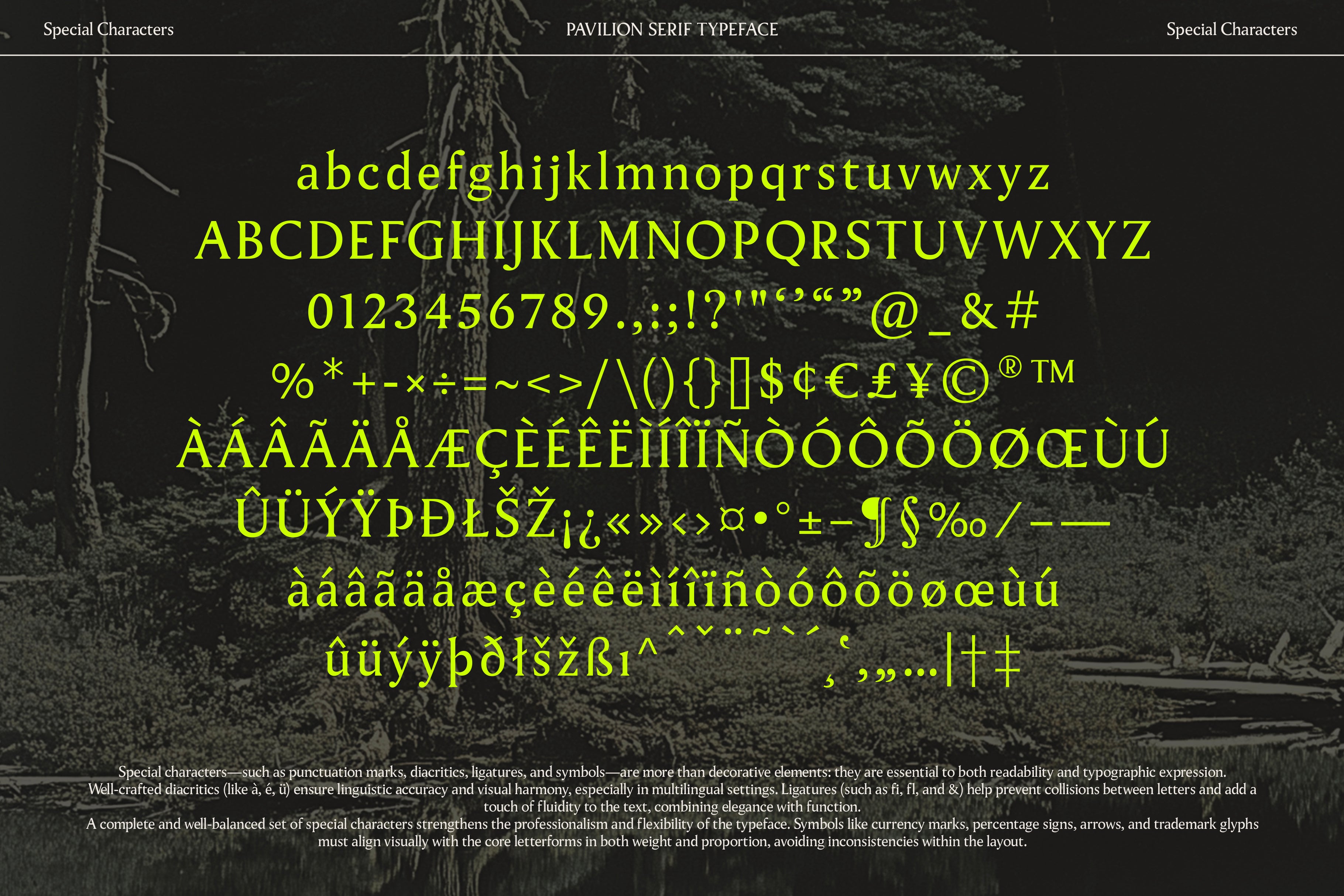 Pavilion Serif Typeface - God Control 1.jpg
