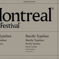 Pavilion Serif Typeface - God Control 1.jpg
