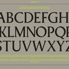 Pavilion Serif Typeface - God Control 1.jpg