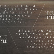 Perfect Harmony - Aesthetic Serif - Sarid Ezra 8.jpg