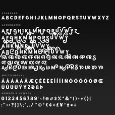 Point Panther (8 BOLD FONTS) - Sarid Ezra 8.jpg