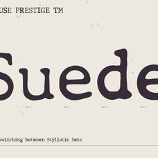Prestige TM - Type Mania 1.jpg