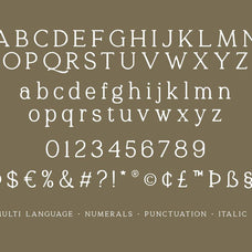 Quelity - Crooked Serif Font - Sarid Ezra 8.jpg