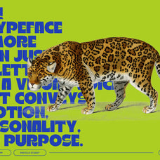 RAGIKON - Friendly Display Font - Enxyclo Studio 1.png