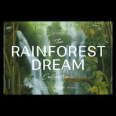 Rainforest Waterfalls Dream