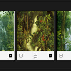 Rainforest Waterfalls Dream - Nomad Visuals 17.jpg