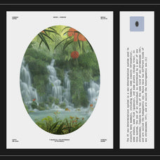 Rainforest Waterfalls Dream - Nomad Visuals 8.jpg