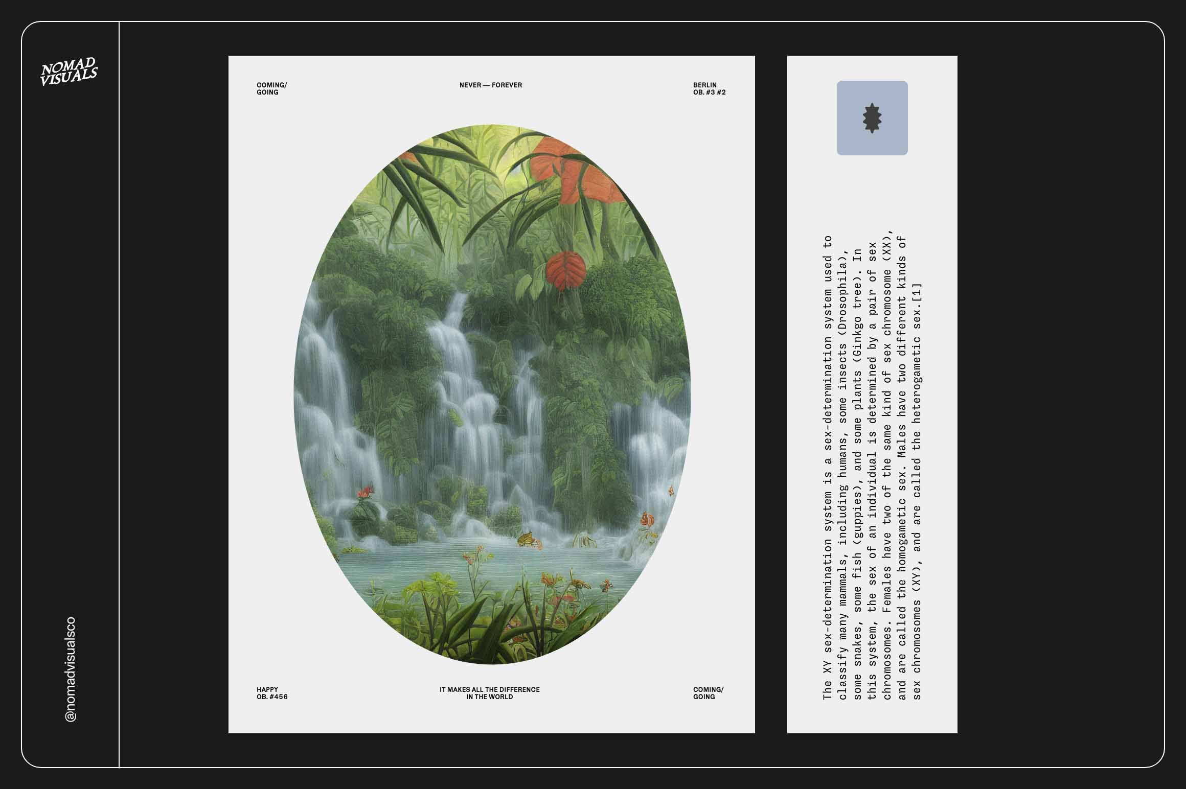 Rainforest Waterfalls Dream - Nomad Visuals 8.jpg