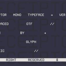 Receiptor Mono - Blank Studio 2.jpg