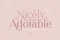 Redrains - Modern Serif Family