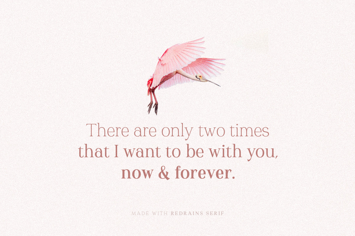 Redrains - Modern Serif Family - Sarid Ezra 7.jpg