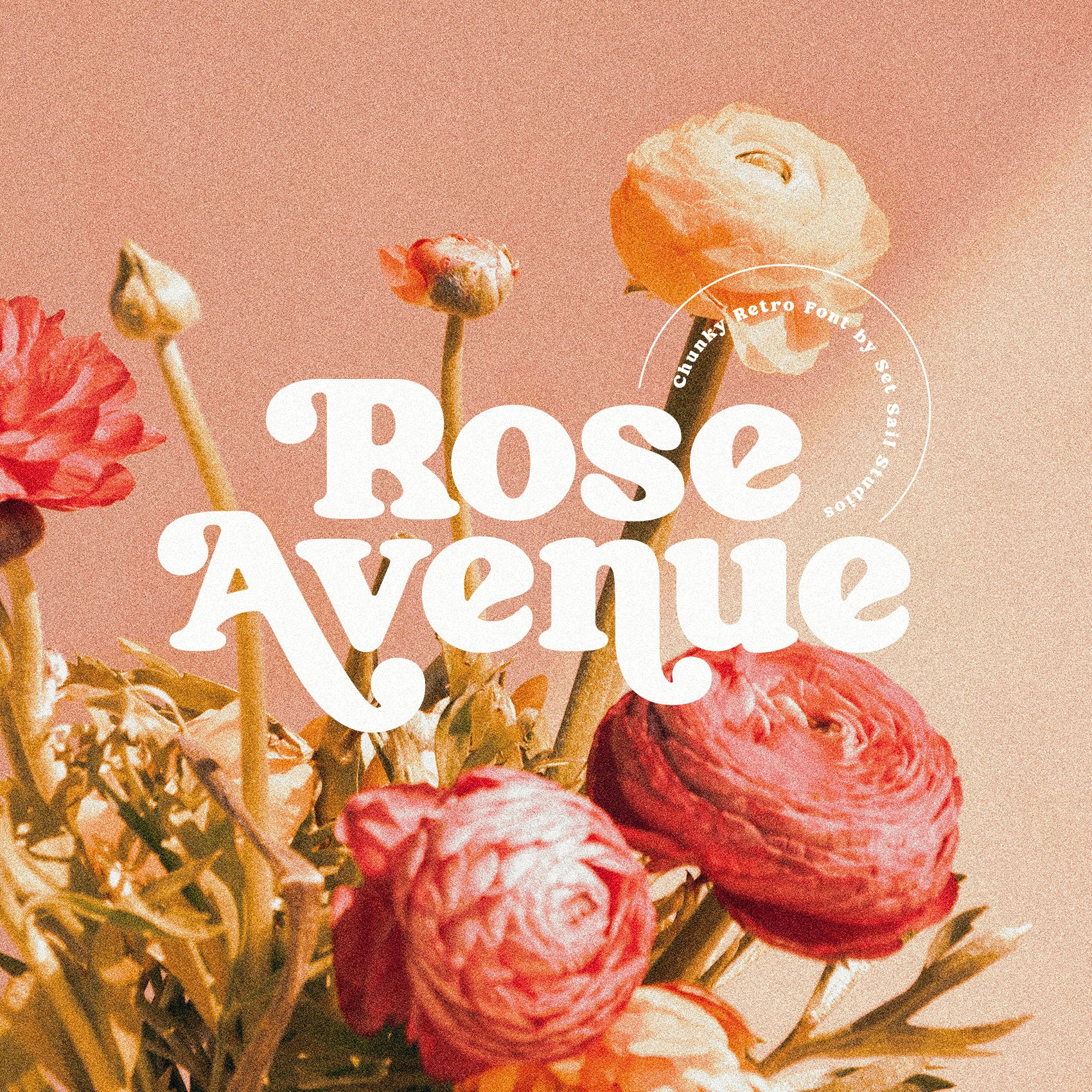 Rose Avenue Font - Set Sail Studios 1.jpg