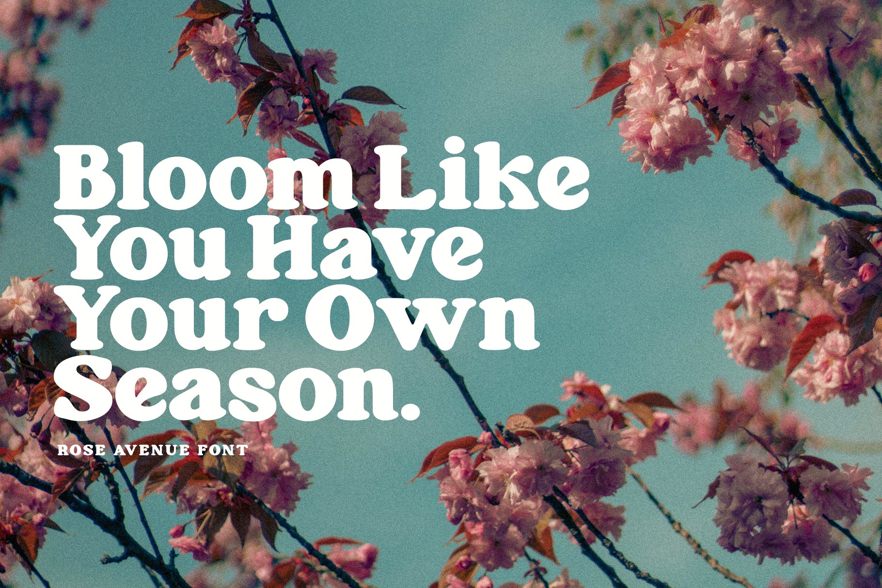 Rose Avenue Font - Set Sail Studios 1.jpg