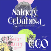 SAIGEFY CEBAHIXA — Experimental Serif