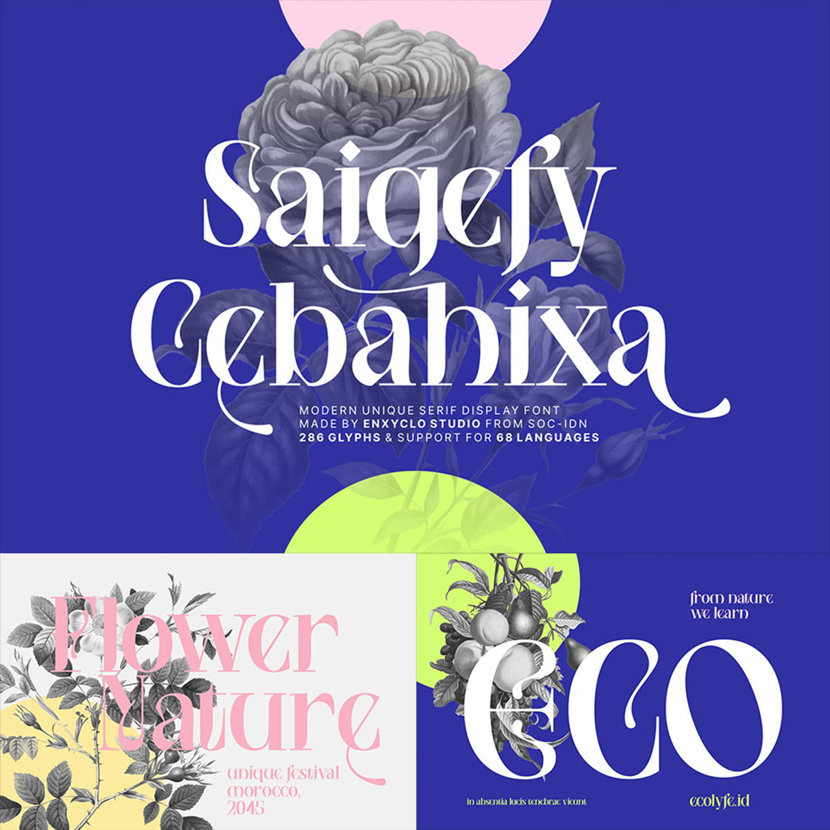 SAIGEFY CEBAHIXA - Enxyclo Studio 1.png