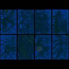 Sacred Experimental Ink Textures Collection - Pixelbuddha 4.jpg