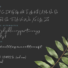 Scarlette Script - Sarid Ezra 11.jpg