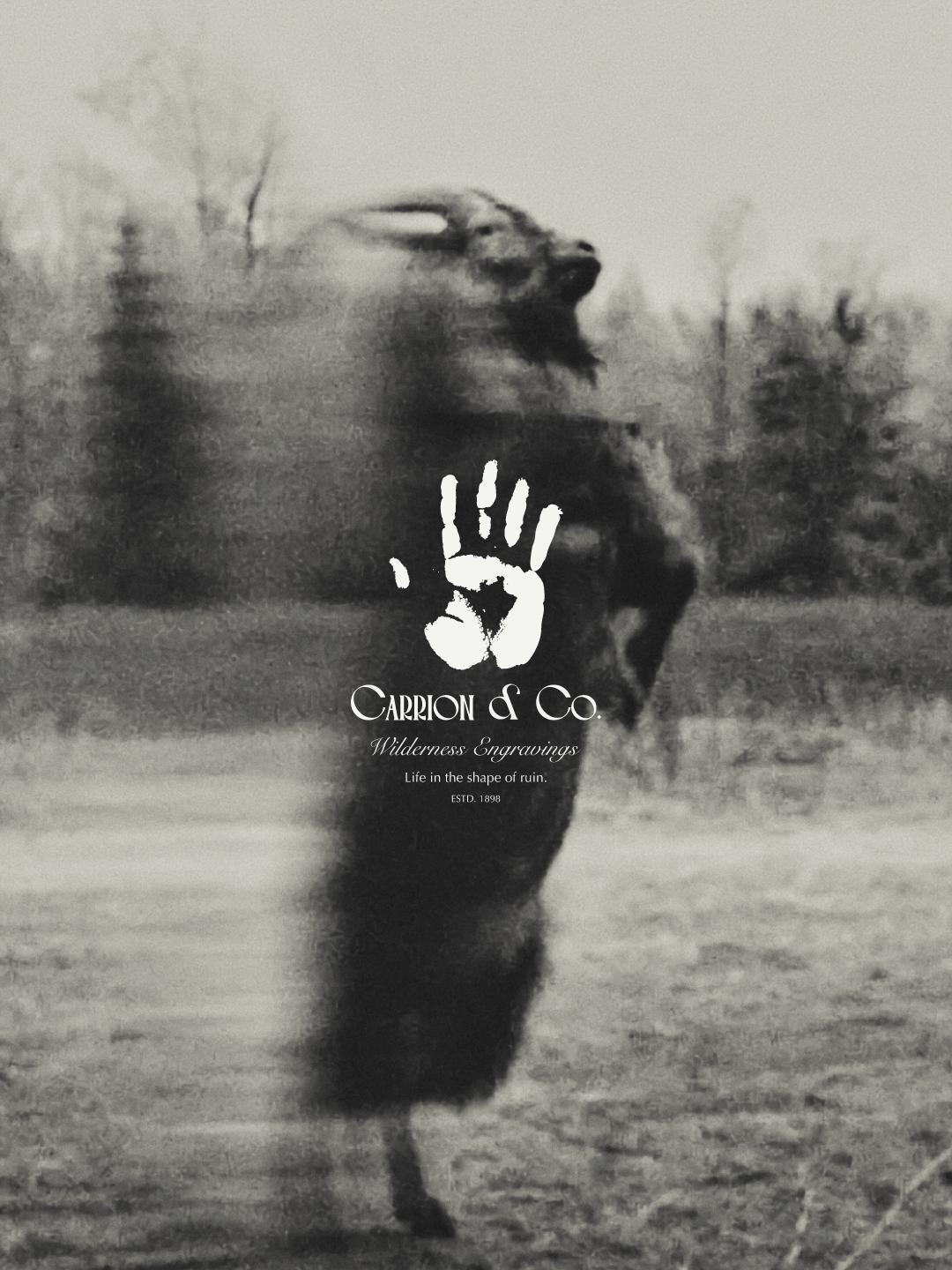 Shadows Crowned - AiahHassn 7.png