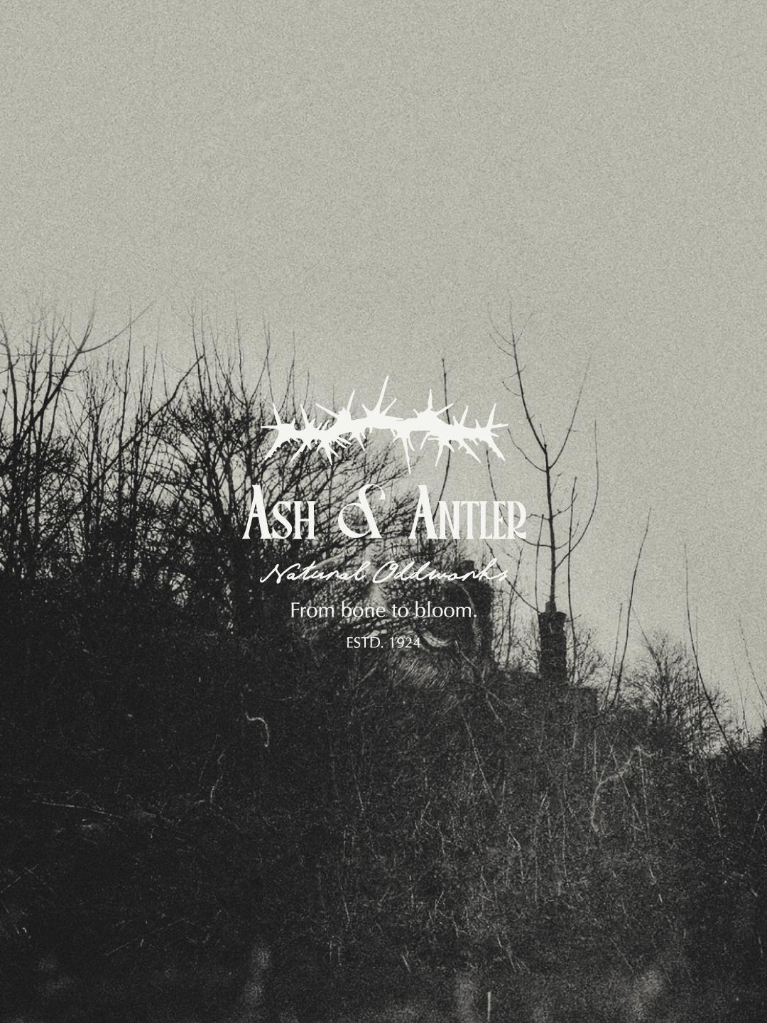 Shadows Crowned - AiahHassn 8.png