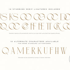 Simple Serenity Serif & Script - Set Sail Studios 1.jpg