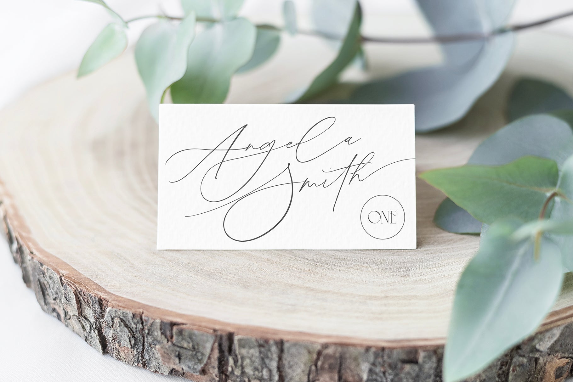 Simple Serenity Serif & Script - Set Sail Studios 1.jpg