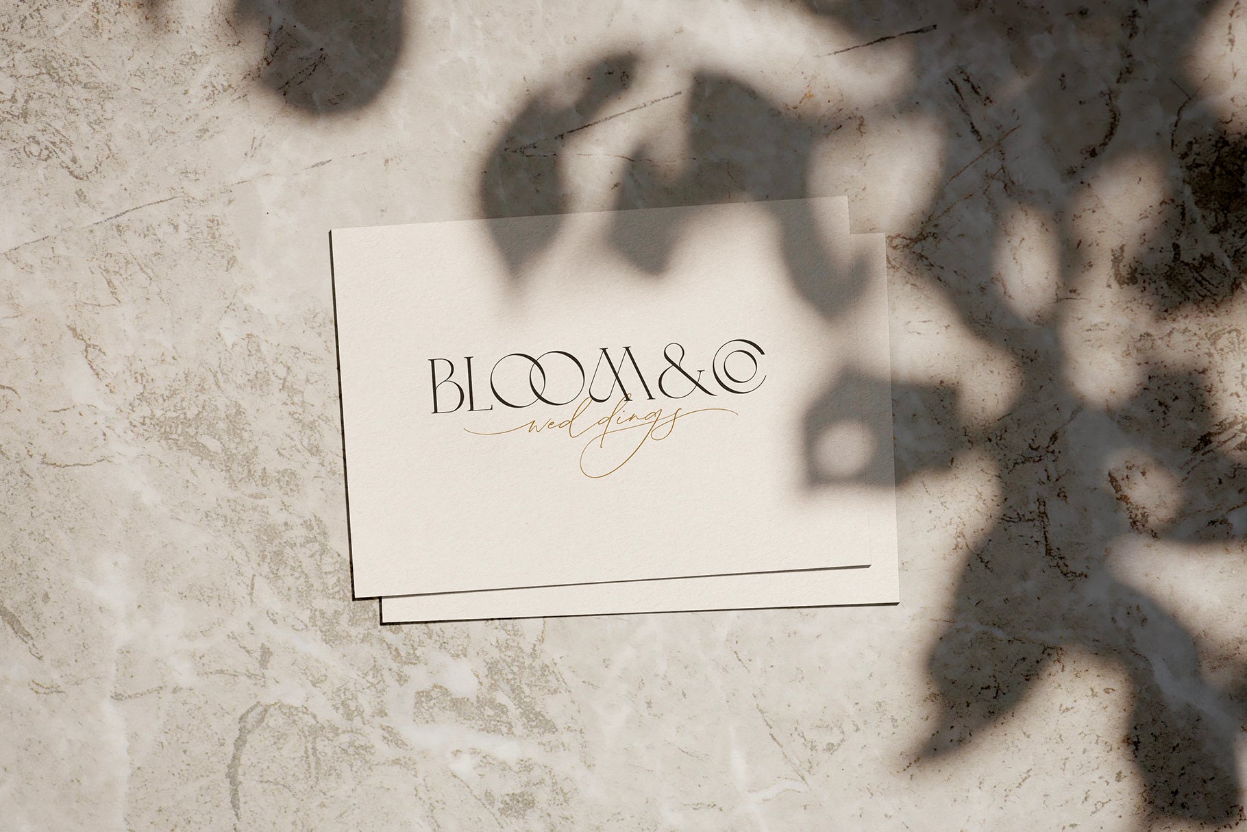 Simple Serenity Serif & Script - Set Sail Studios 1.jpg