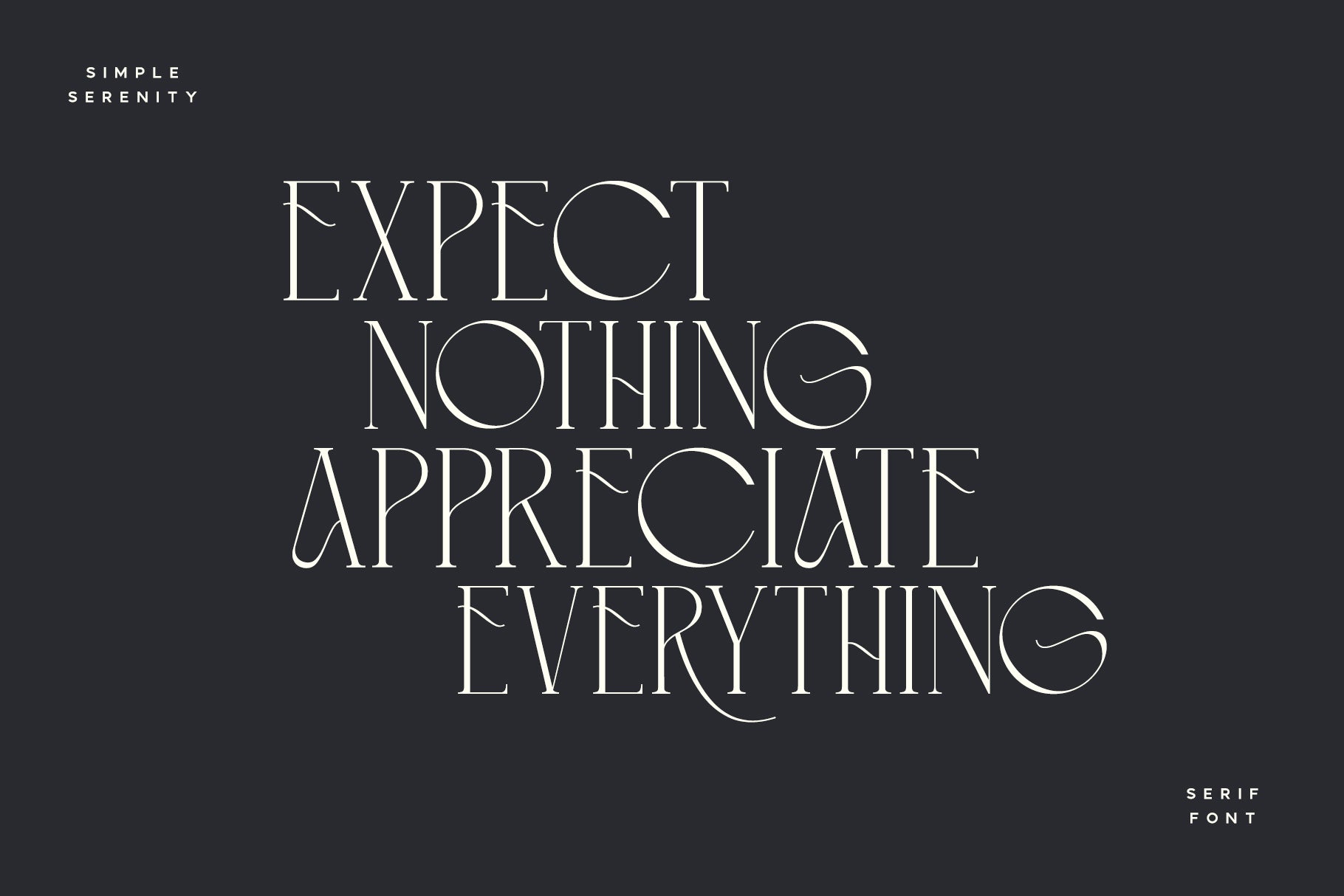 Simple Serenity Serif & Script - Set Sail Studios 1.jpg