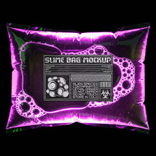 Slime Bag Mockup - Pixelbuddha 4.jpg