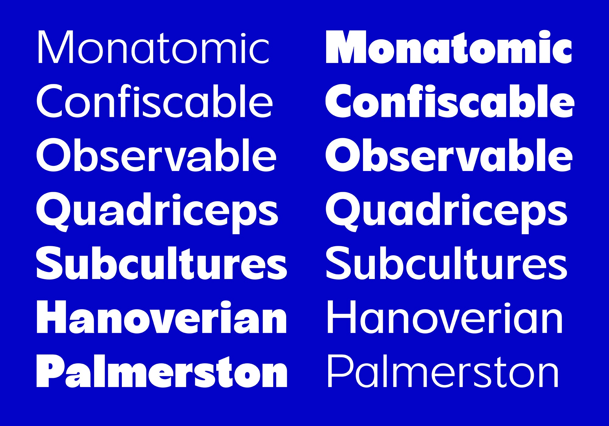 FBS Chopen - Font Family