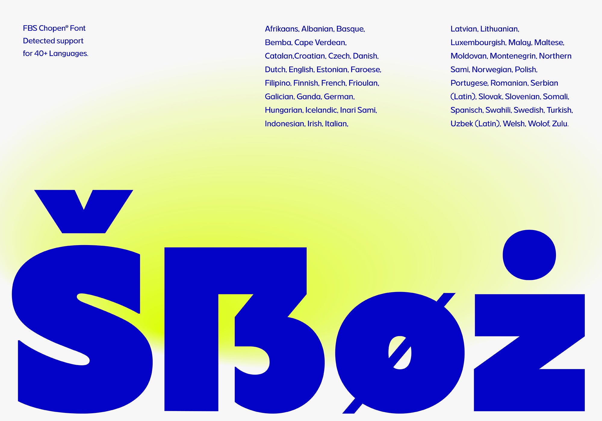 FBS Chopen - Font Family