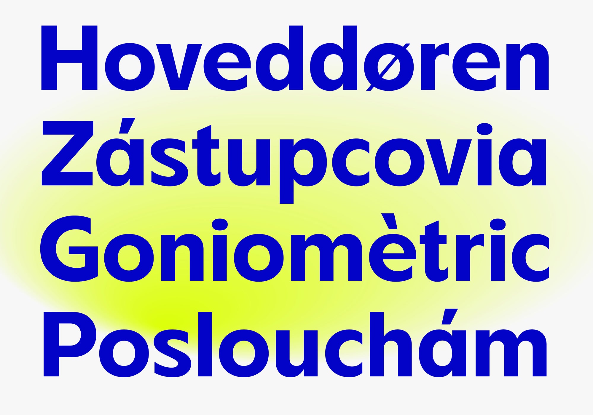 FBS Chopen - Font Family