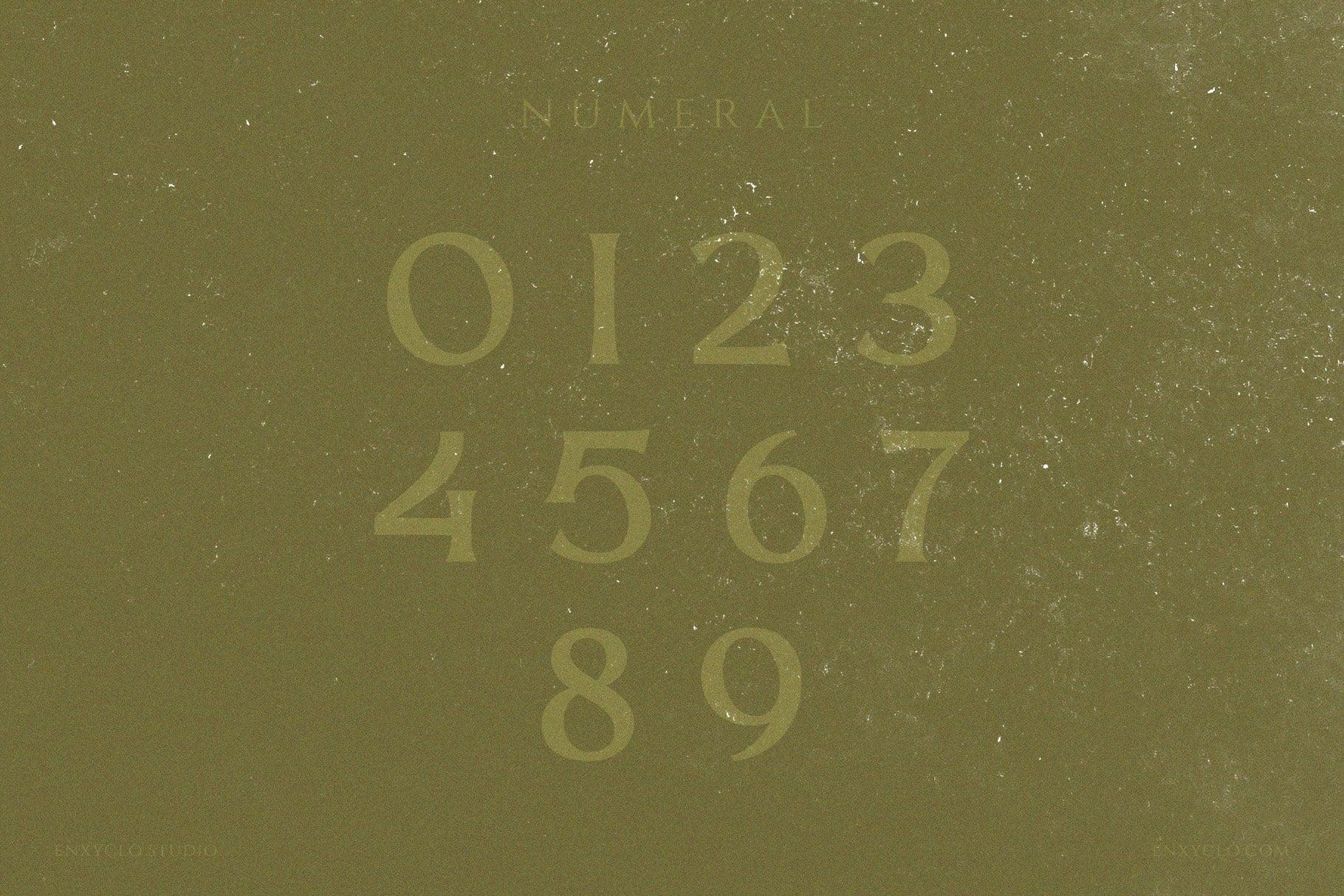 THE QUIRONAX - Enxyclo Studio 1.jpg