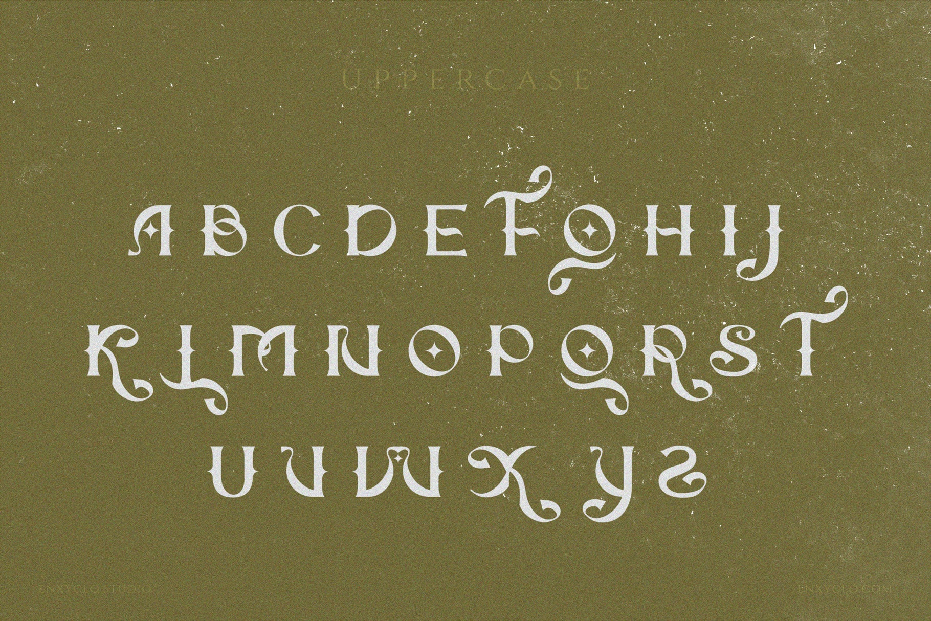 THE QUIRONAX - Enxyclo Studio 1.jpg