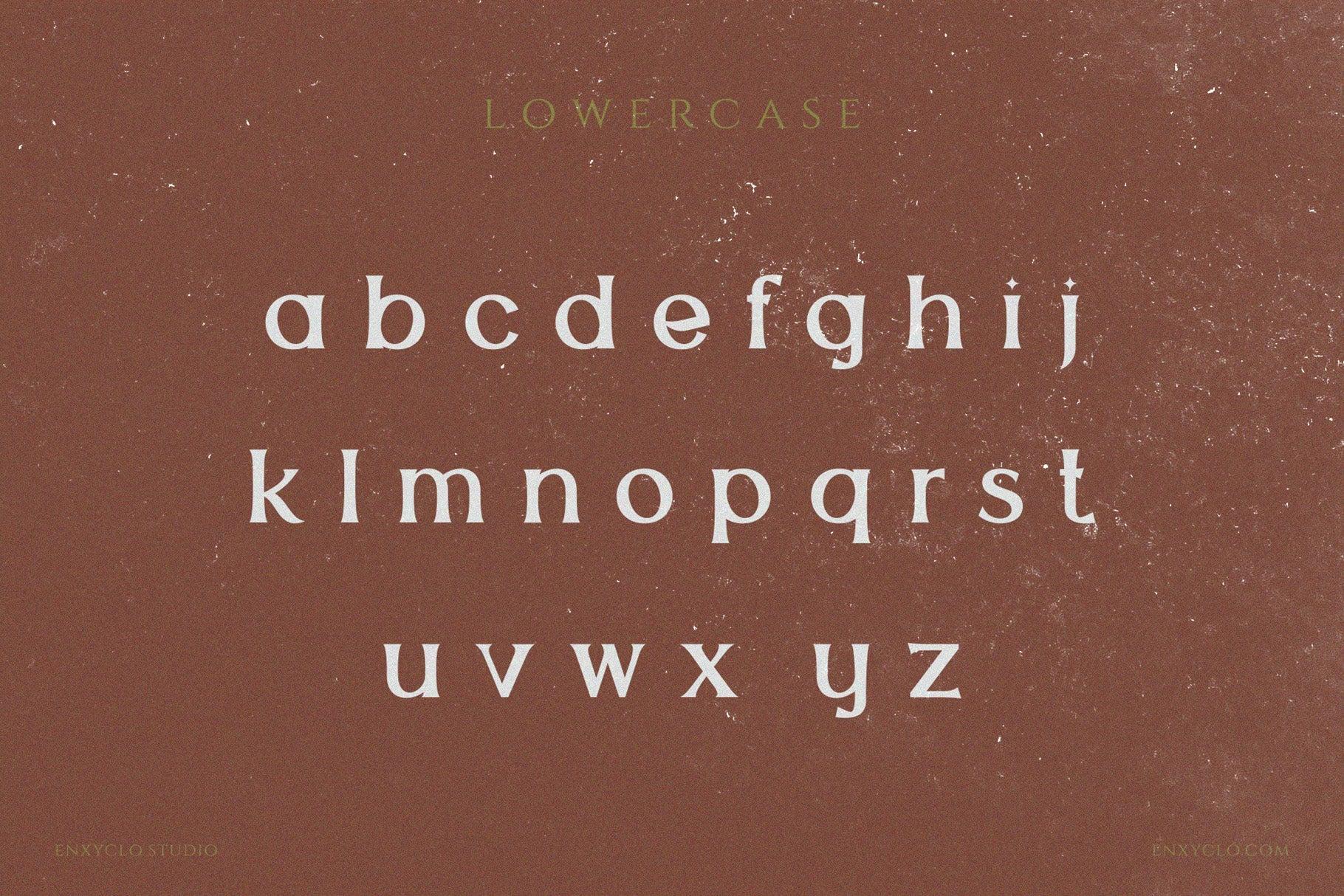 THE QUIRONAX - Enxyclo Studio 1.jpg