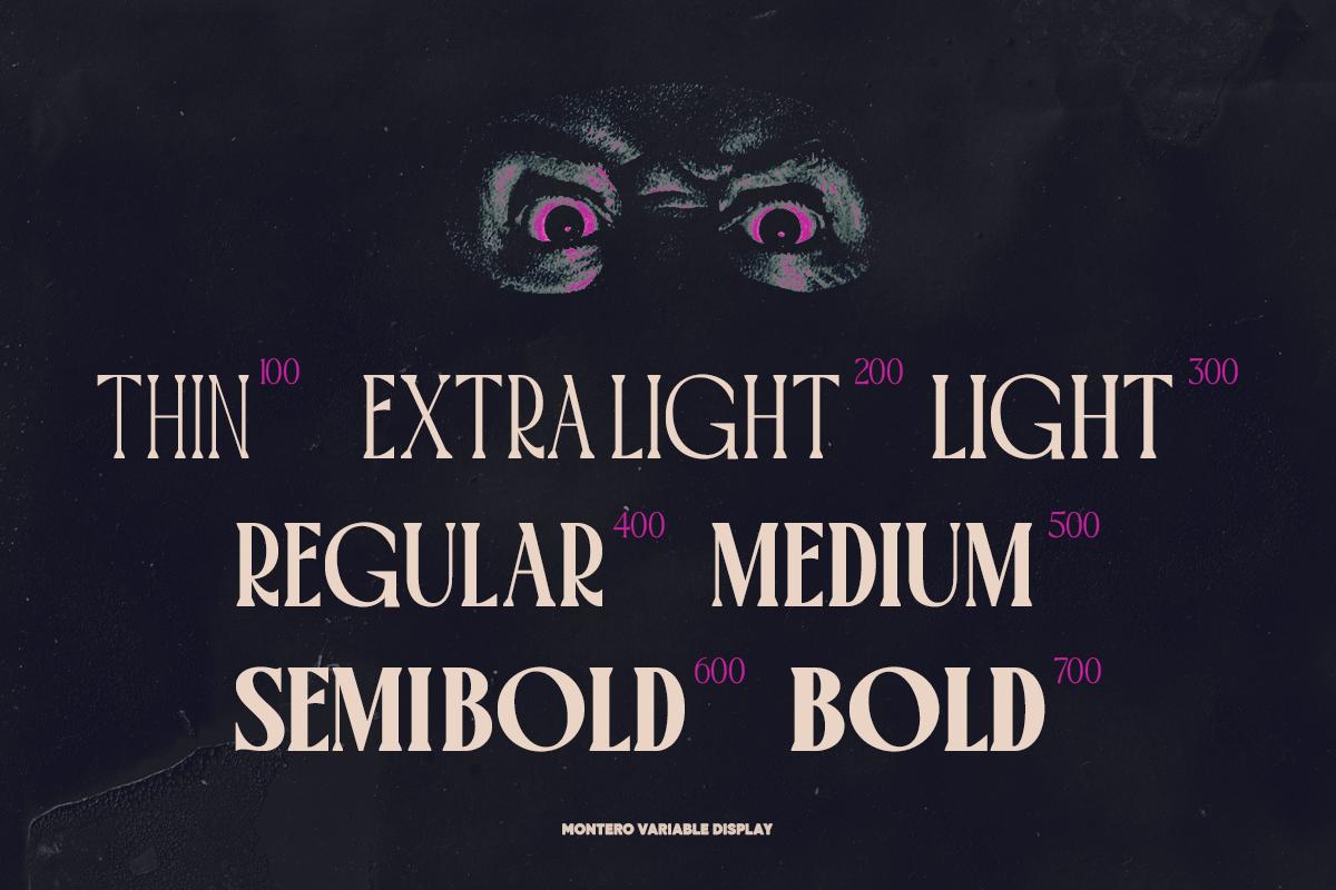 TT Montero Serif Condensed - True Type Lab 12.png