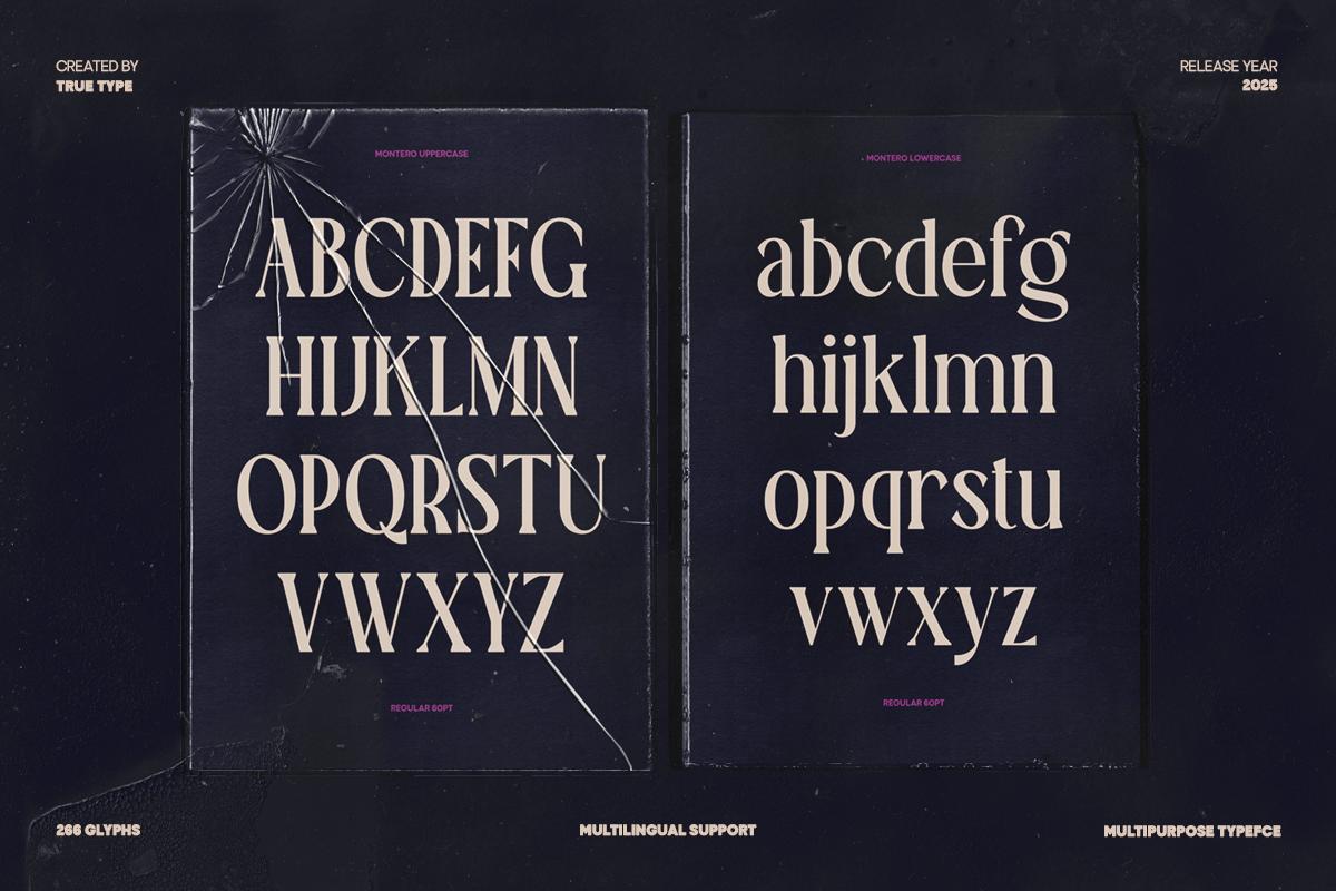TT Montero Serif Condensed - True Type Lab 6.png