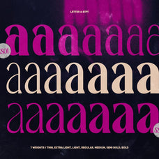 TT Montero Serif Condensed - True Type Lab 8.png
