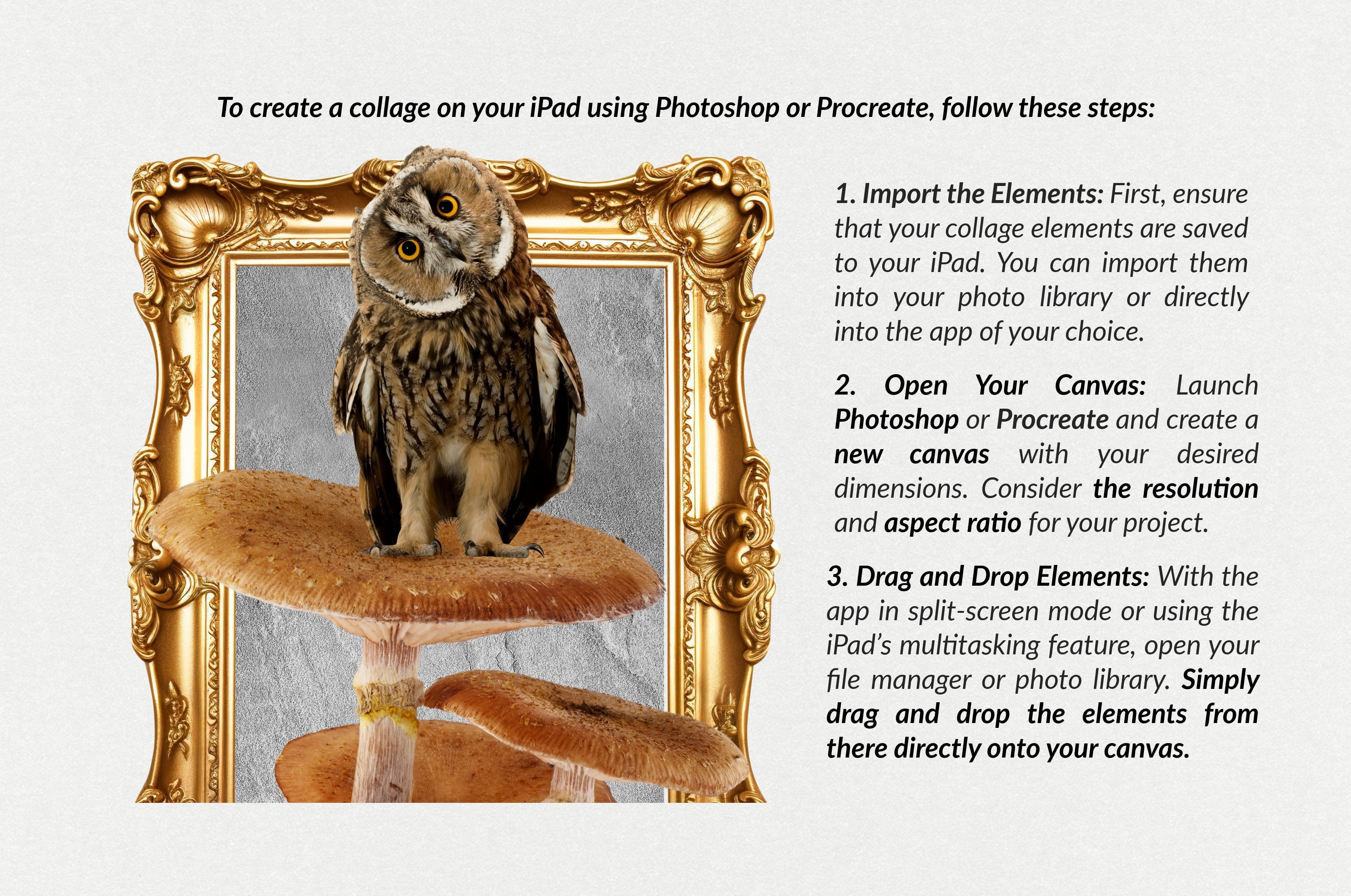 The Autumn Collage Creator (330+ Elements) - Digi Life 1.jpg