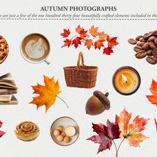 The Autumn Collage Creator (330+ Elements) - Digi Life 1.jpg