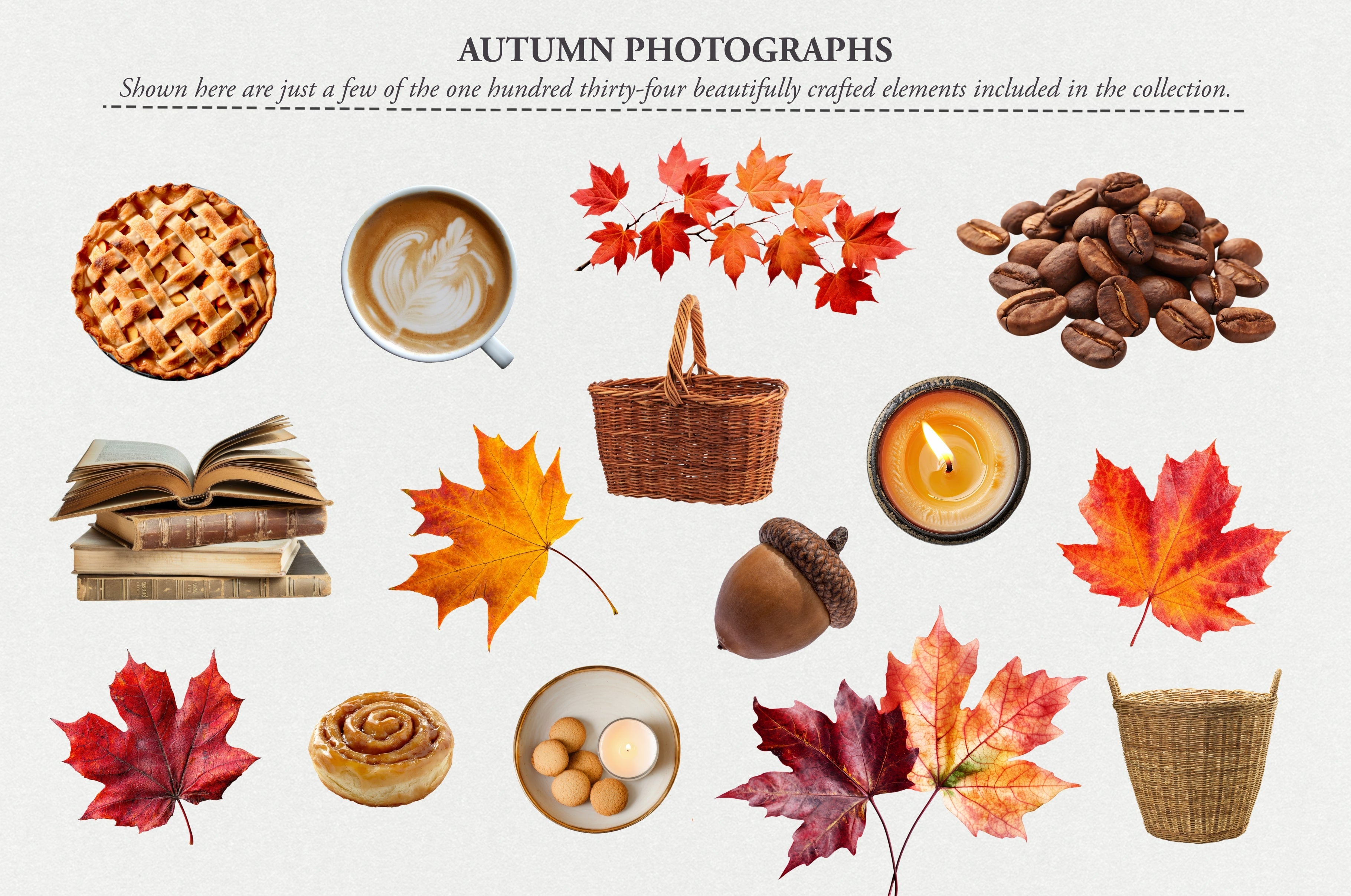 The Autumn Collage Creator (330+ Elements) - Digi Life 1.jpg