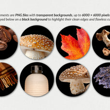 The Autumn Collage Creator (330+ Elements) - Digi Life 1.jpg