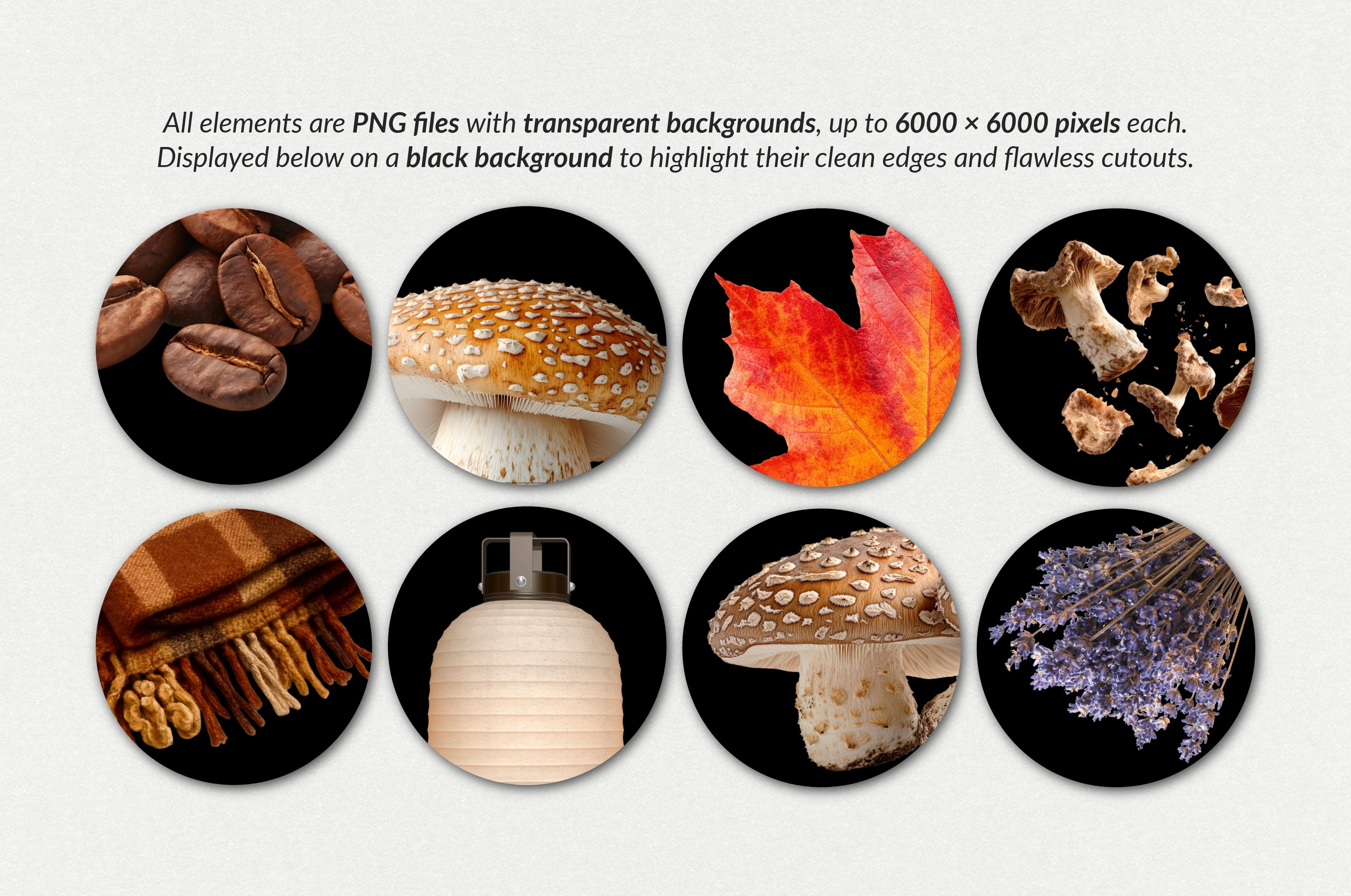 The Autumn Collage Creator (330+ Elements) - Digi Life 1.jpg