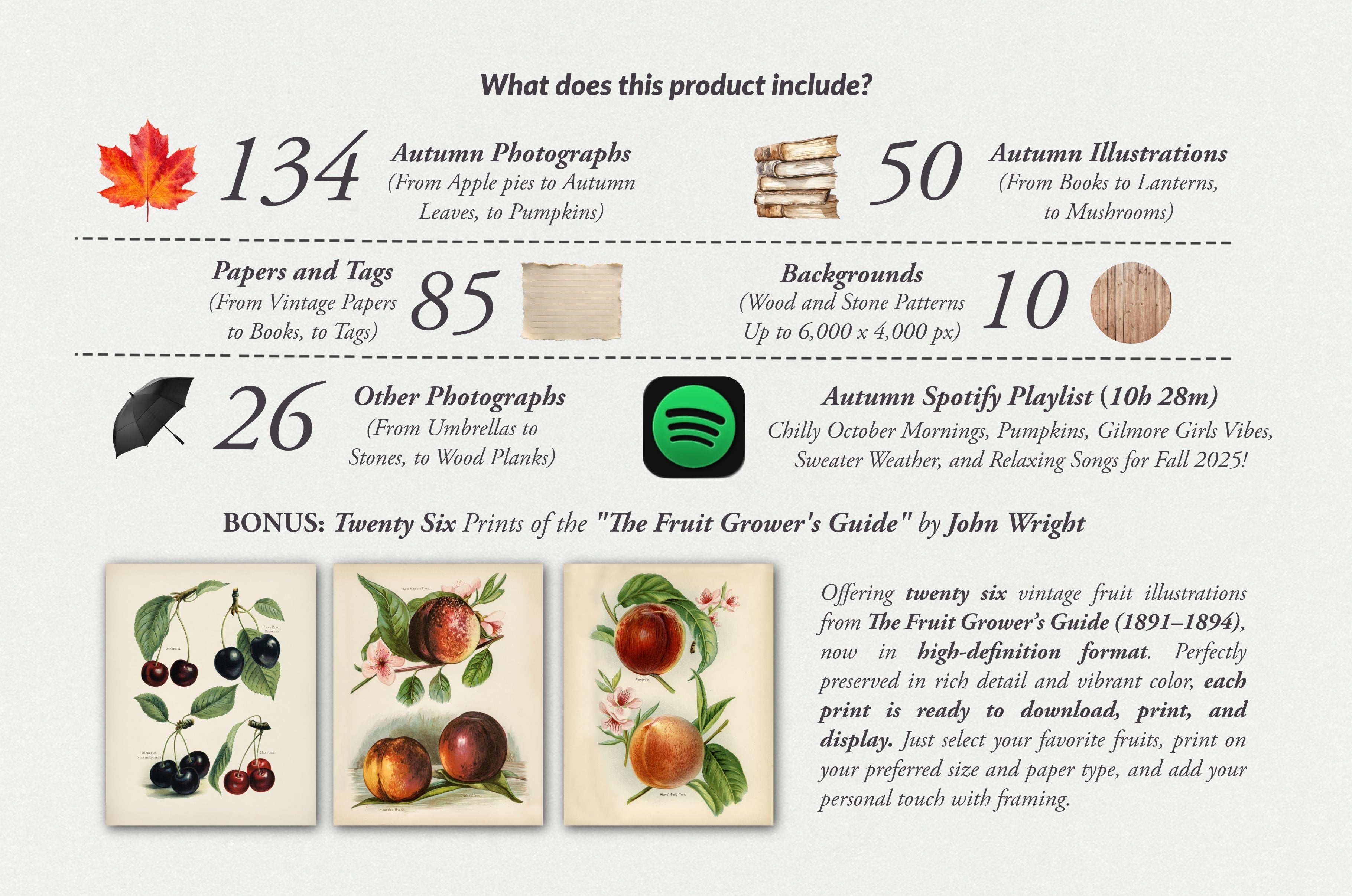 The Autumn Collage Creator (330+ Elements) - Digi Life 1.jpg