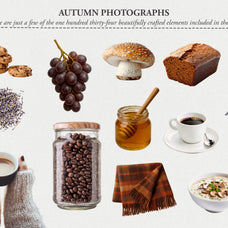 The Autumn Collage Creator (330+ Elements) - Digi Life 2.jpg