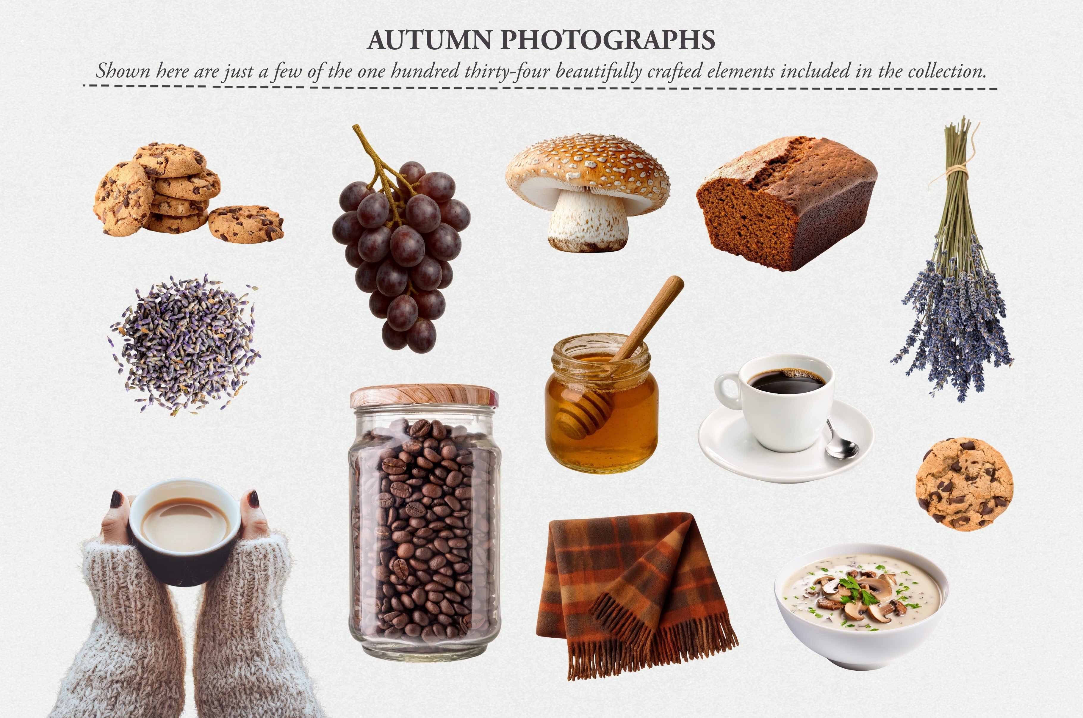 The Autumn Collage Creator (330+ Elements) - Digi Life 2.jpg