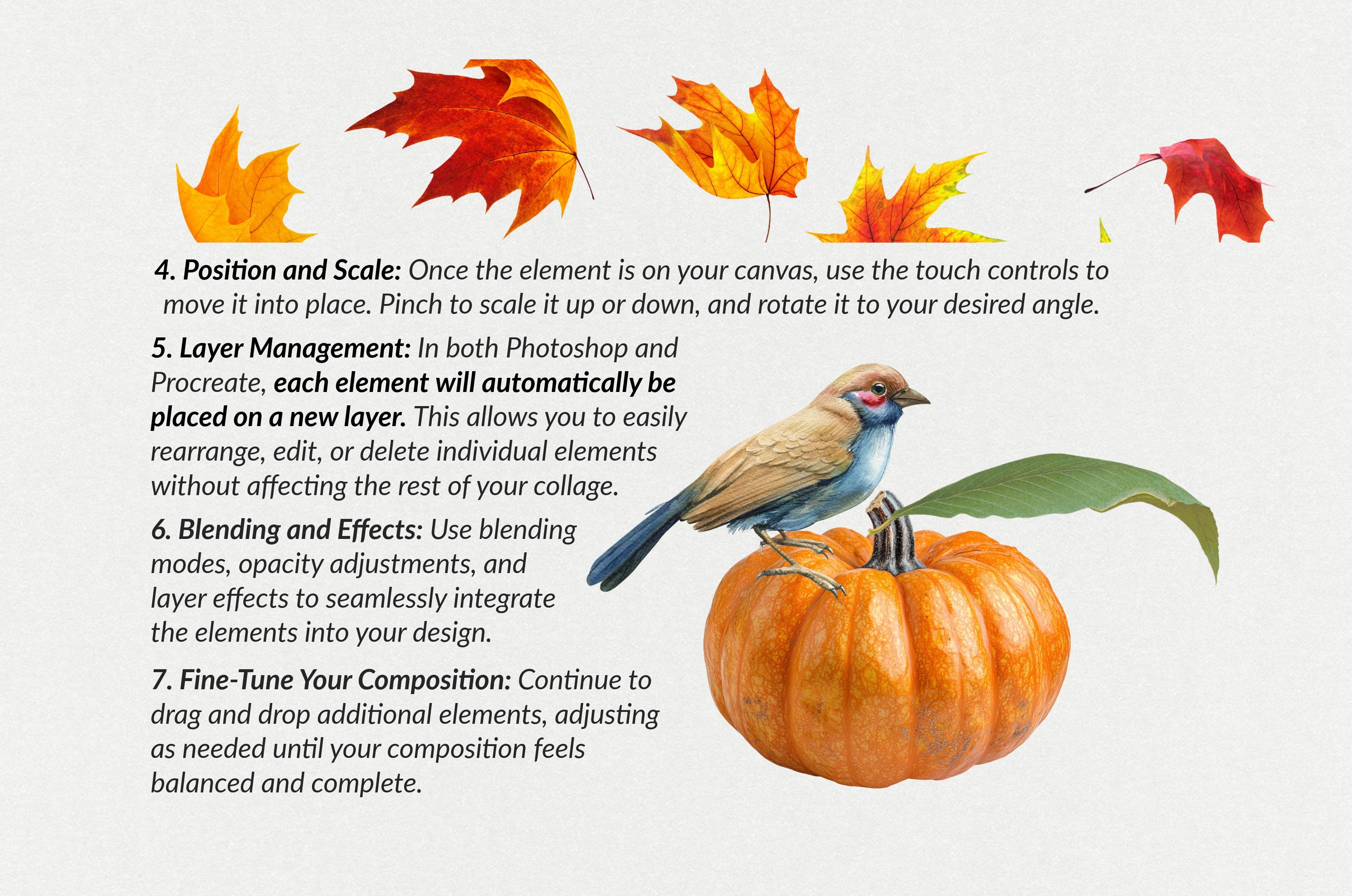 The Autumn Collage Creator (330+ Elements) - Digi Life 2.jpg